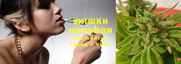 apvp Снежногорск