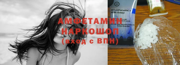 амф Гусь-Хрустальный
