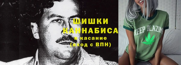 мдма Гусев