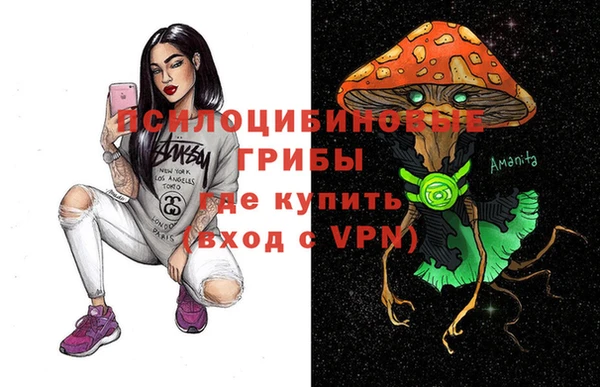 мдма Гусев
