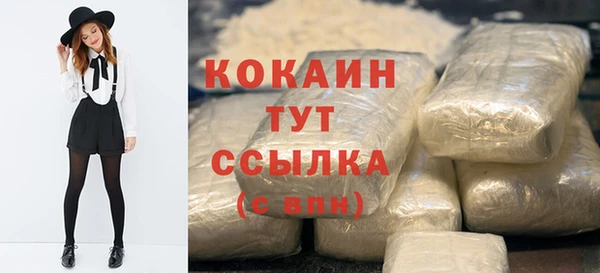 амф Гусь-Хрустальный