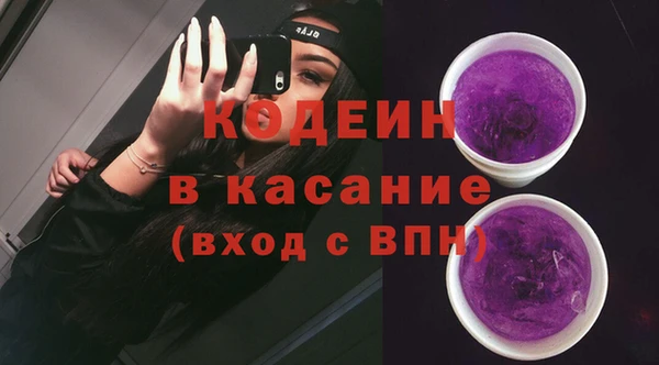 амф Гусь-Хрустальный
