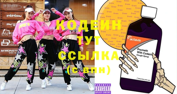 амф Гусь-Хрустальный