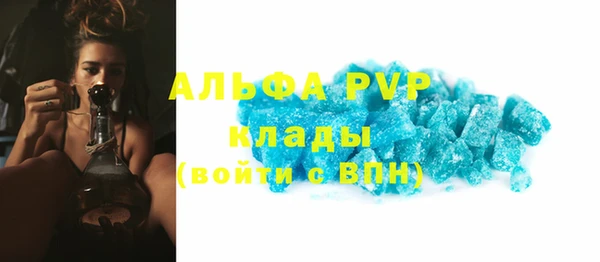 apvp Снежногорск