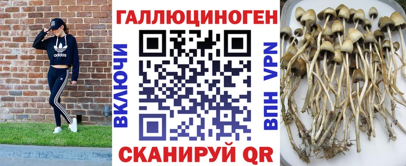 KRAKEN рабочий сайт  Невинномысск  Галлюциногенные грибы Magic Shrooms 